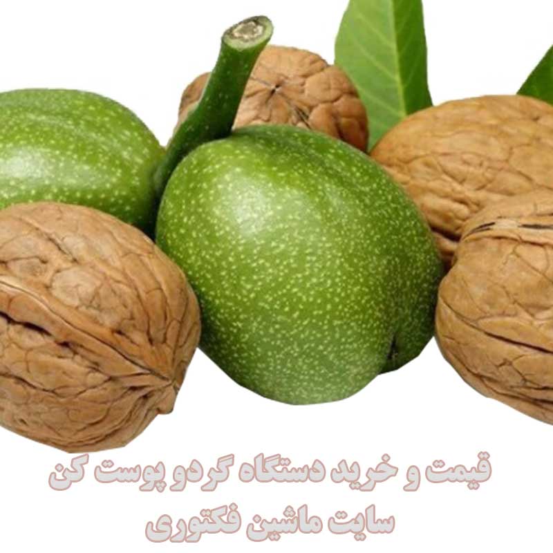 دستگاه گردو پوست کن